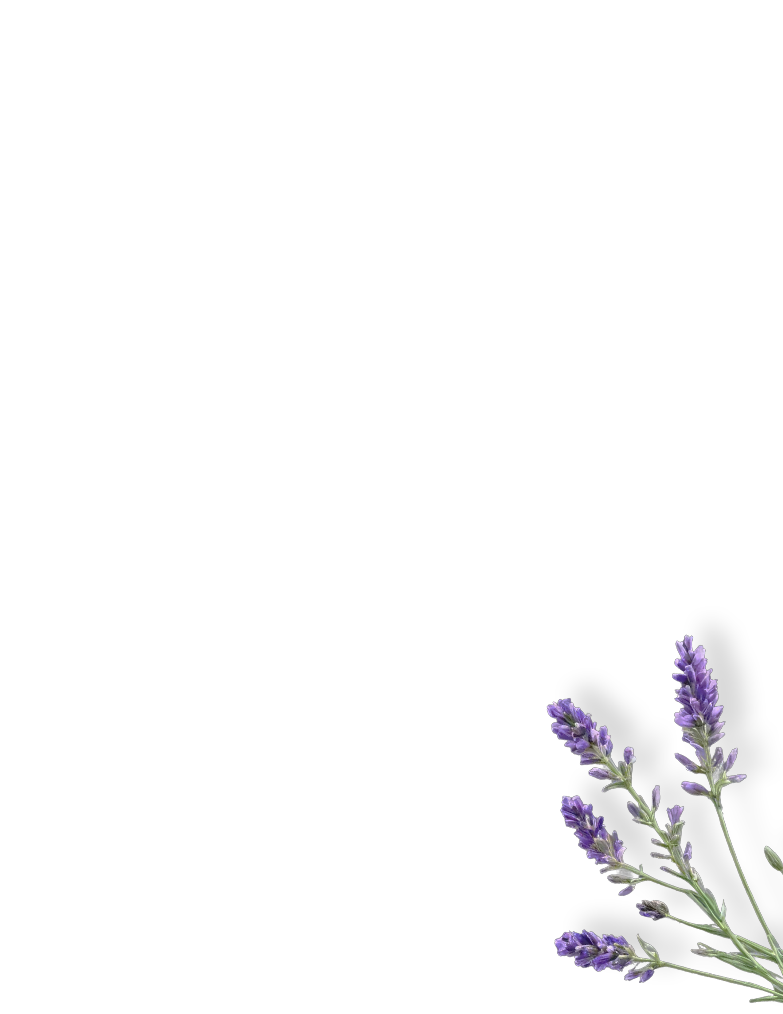 dekorativni element - cvet lavande